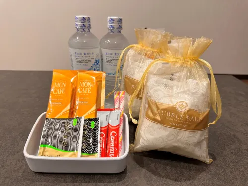 Reftel Osaka Itami Airport Hotel Zimmer Photos