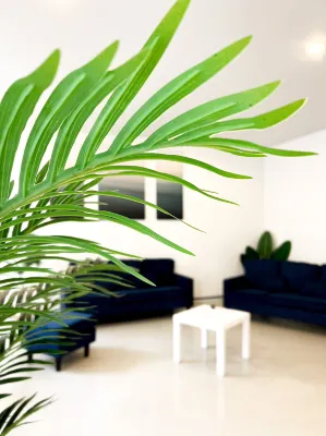 Baobab Espaces publics Photos