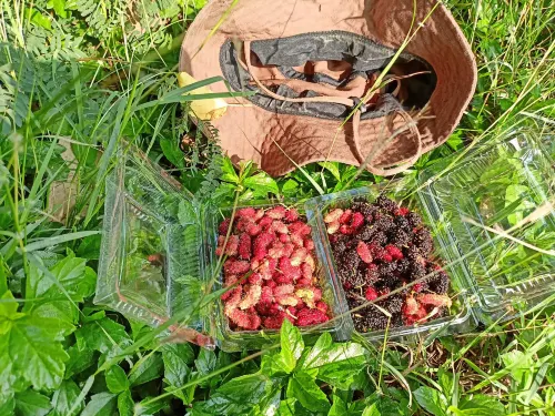 Tantai Eco Farm Stay at Khao Yai 호텔 외관 Photos