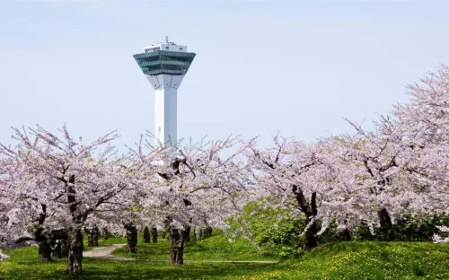 Toyoko Inn Hokkaido Hakodate Ekimae Asaichi Dekat Hotel Photos