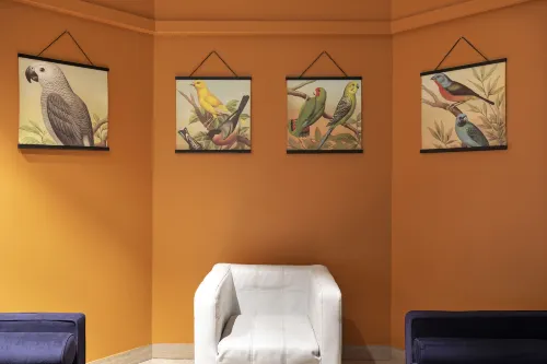 B&B Hotel Como City Center Aree comuni Photos