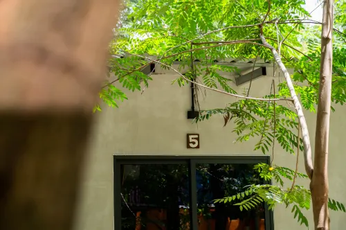 Banyan Tree Extérieur Photos