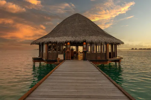 Angsana Velavaru – 20% off seaplane transfer & 2 free excursions - book & stay from Jun to Sep 2025 Restauration Photos