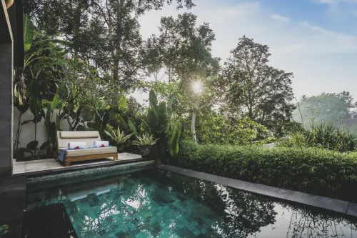 Amora Ubud Boutique Villas À ne pas manquer Photos