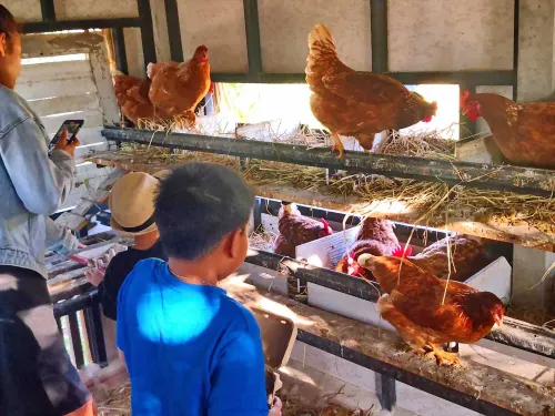 Tantai Eco Farm Stay at Khao Yai 추천 Photos