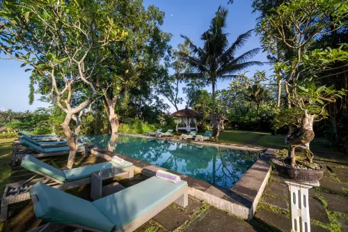 The Hidden Paradise Ubud À ne pas manquer Photos