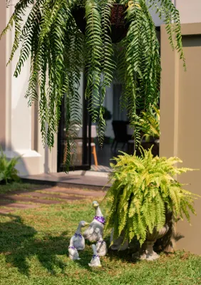 Eurana Boutique Hotel Exterior Photos
