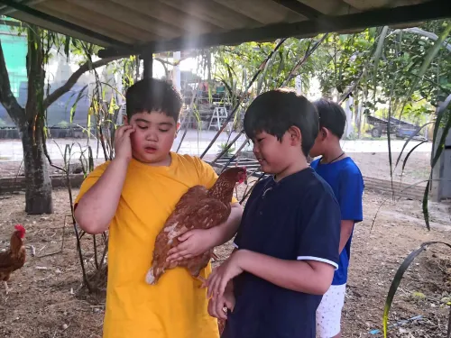 Tantai Eco Farm Stay at Khao Yai Featured Photos