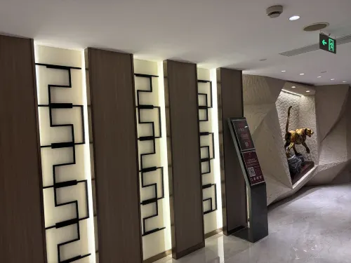 Baolong Hotel Public Areas Photos
