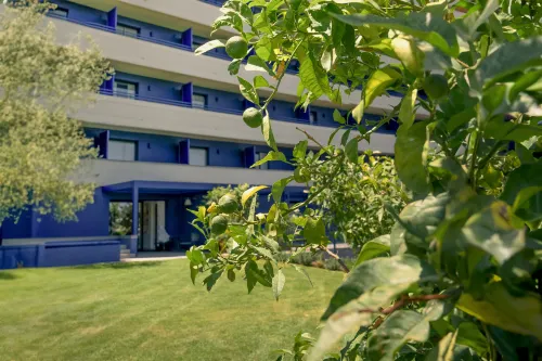 Hilton Sorrento Palace Da non perdere Photos