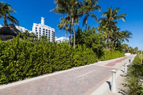 The Palms Hotel & Spa Miami Beach In der Nähe des Hotels Photos
