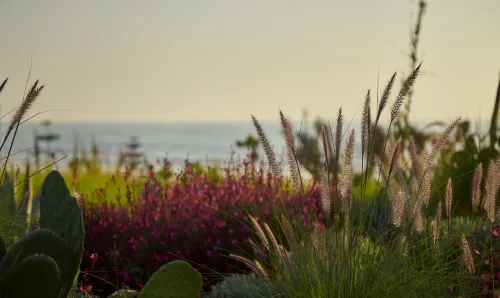 Fairmont Taghazout Bay À proximité de l'hôtel Photos