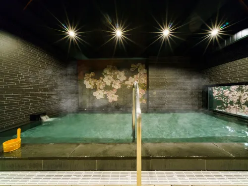 Super Hotel Ikebukuro-Eki Kitaguchi الترفيه والتسلية Photos
