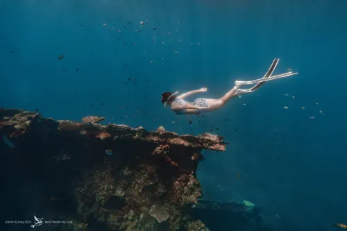 Dive & Dwell Tulamben Рядом с отелем Photos