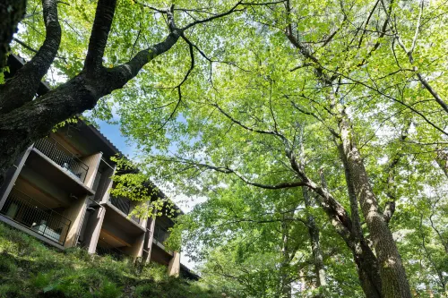 Laforet Shuzenji Sanshisuimei Empfohlen Photos