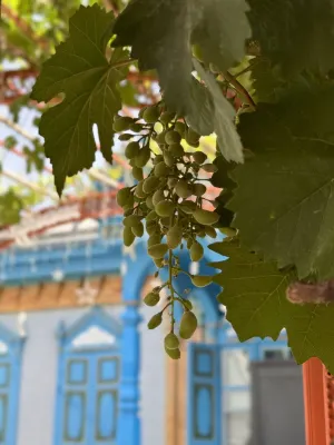 Yining Nalan Pavilion B&B Camere Photos
