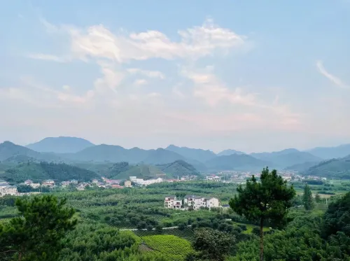 Qiyun·Anji Chashan Yelu Hot Spring Homestay Photos