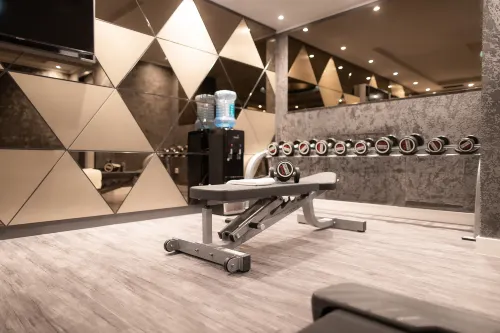 PLAZA Premium Heidelberg Leisure & Recreation Photos