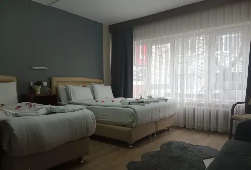 Cesmeli Hotel - Bursa uygun otel Empfohlen Photos