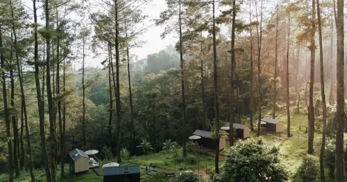Bobocabin Pacet, Mojokerto À ne pas manquer Photos