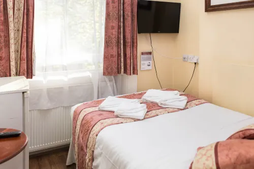 Dolphin Hotel Camere Photos