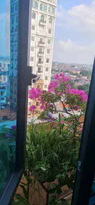 Violin Bacninh Hotel Photos