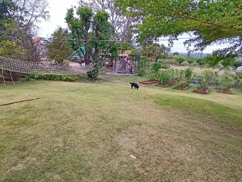 Tantai Eco Farm Stay at Khao Yai 호텔 주변 Photos