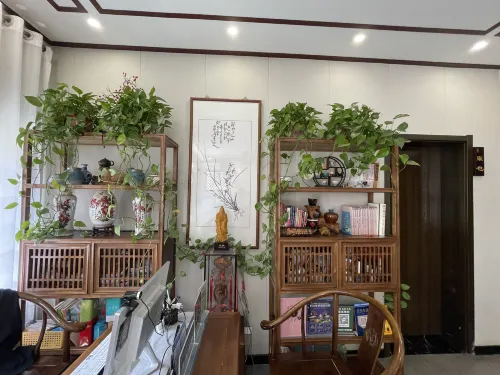 Qufu Liren Residential Residence (Sankong Scenic Area Shop) Public Areas Photos