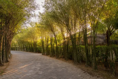 The Shells Resort & Spa Phu Quoc Espaces publics Photos