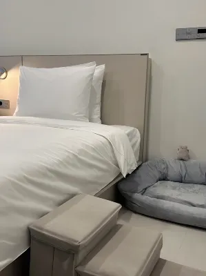HOTEL BOTANIK 世運 明洞 房間 Photos
