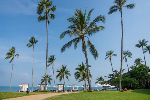Napasai Samui À ne pas manquer Photos