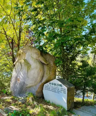 Jilin Province Changbai Mountain Atour Project Near Hotel Photos