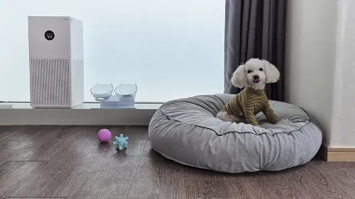 브라운스위트호텔 신촌센트럴 객실 Photos