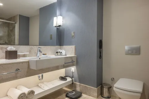 Elexus Hotel Resort & Spa & Casino Номера Photos
