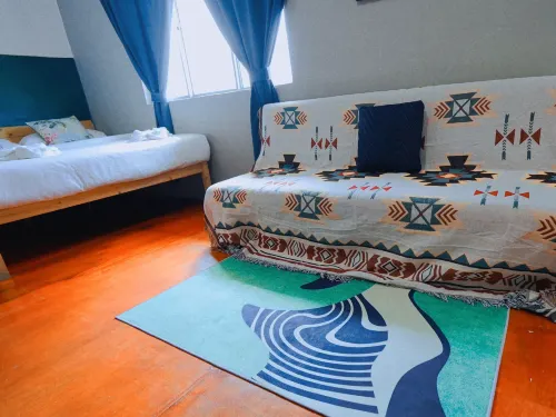 Rainforest· Jiuqi Holiday Rooms Photos