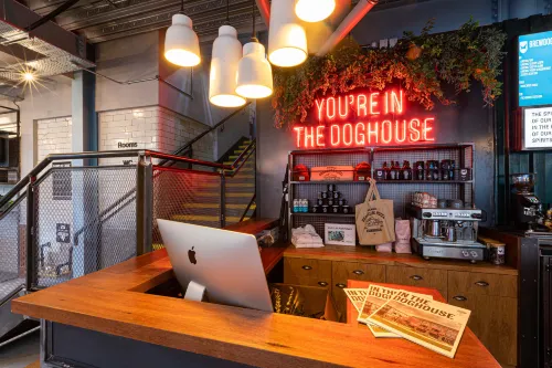 BrewDog DogHouse Edinburgh Aree comuni Photos