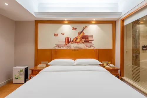 Vienna International Hotel (Guangzhou Xintang High Speed Railway Station Cowboy City Branch) Номера Photos