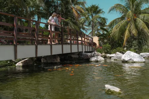 The Pyramid Cancun by Oasis - All Inclusive Near Hotel Photos