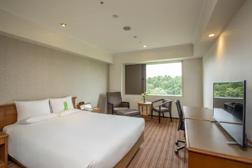 International Garden Hotel Narita Rooms Photos