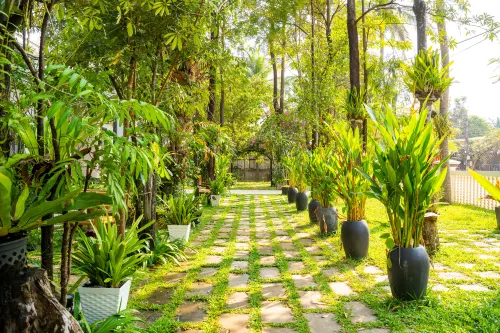 Angkor Tempora Boutique Exterior Photos