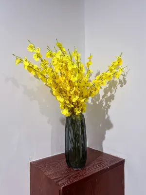 Guangzhou Zhicheng Lingyou International Apartment فنادق مميّزة Photos