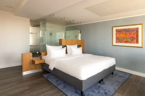 Radisson Blu Hotel, Erfurt Kamar Photos