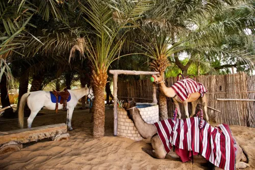 Telal Resort Al Ain Экстерьер Photos