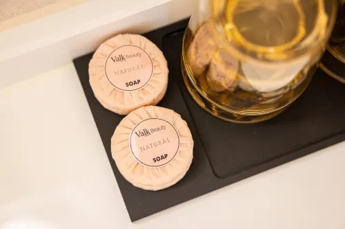 Van der Valk Hotel Schiphol Rooms Photos