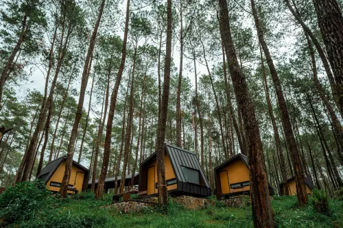 Bobocabin Cikole, Bandung Unggulan Photos