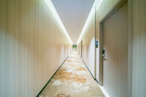 Shenzhen Xinchao Apartment (Dongmen Pedestrian Street Hubei Subway Station) Aree comuni Photos