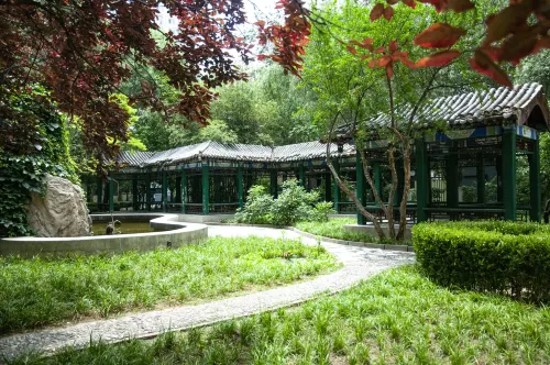 Beijing Chongqing Hotel Избранное Photos