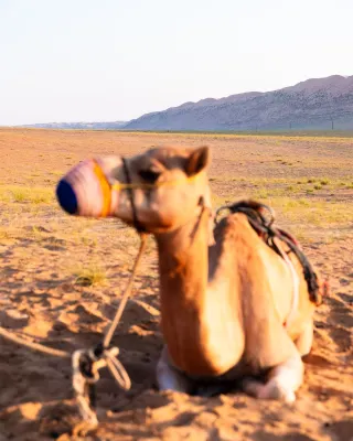 Thousand Nights Camp Photos