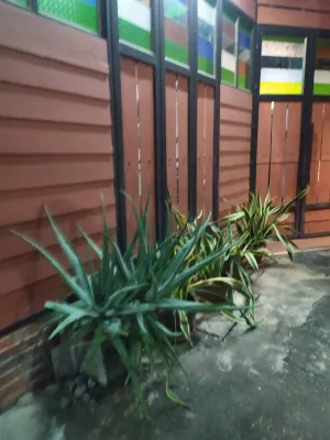 Sisaket PonTaWin Budget Inn Photos