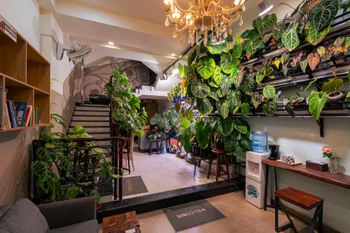Amano home Nổi bật Photos